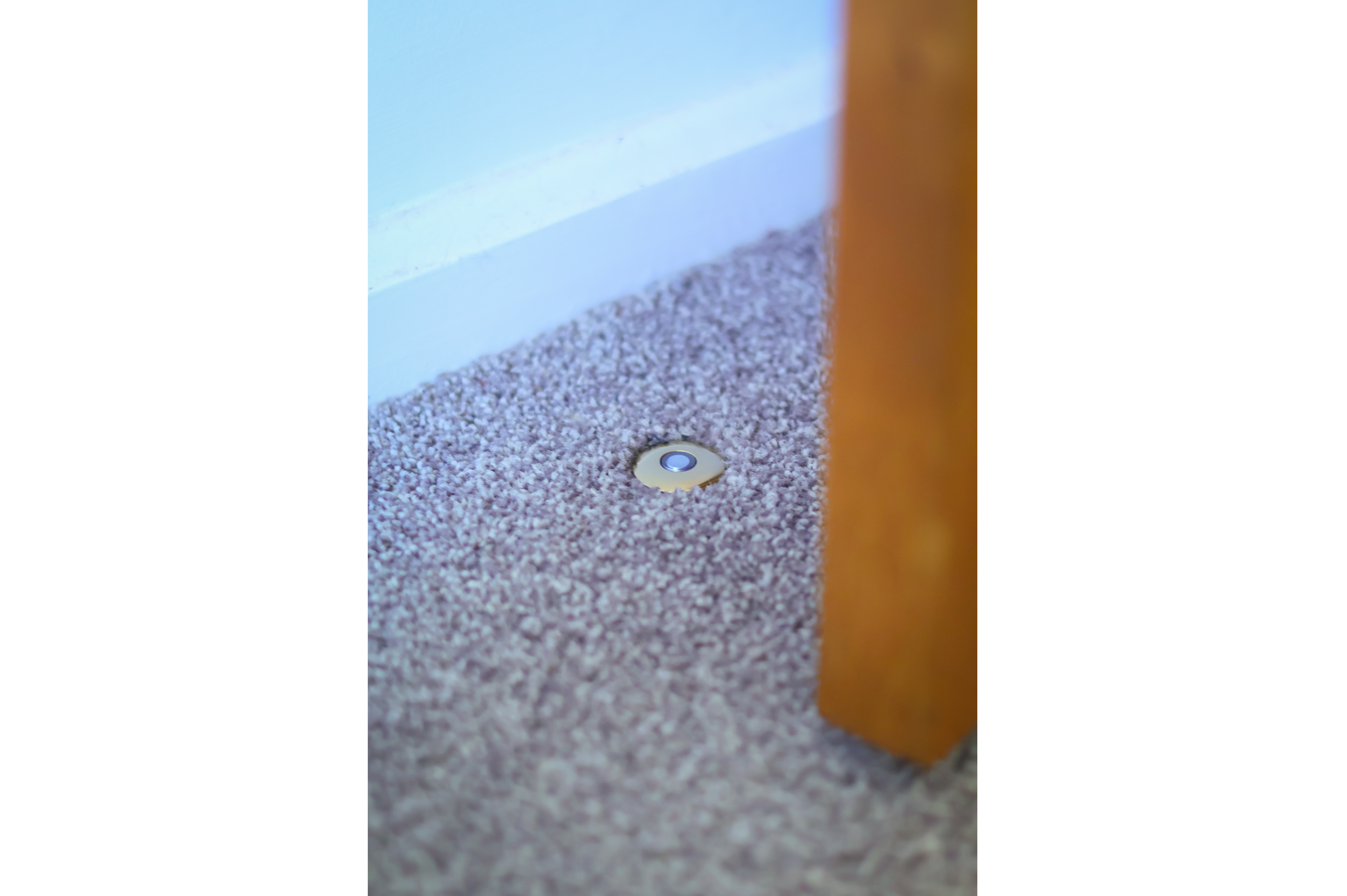 Carpet Punch