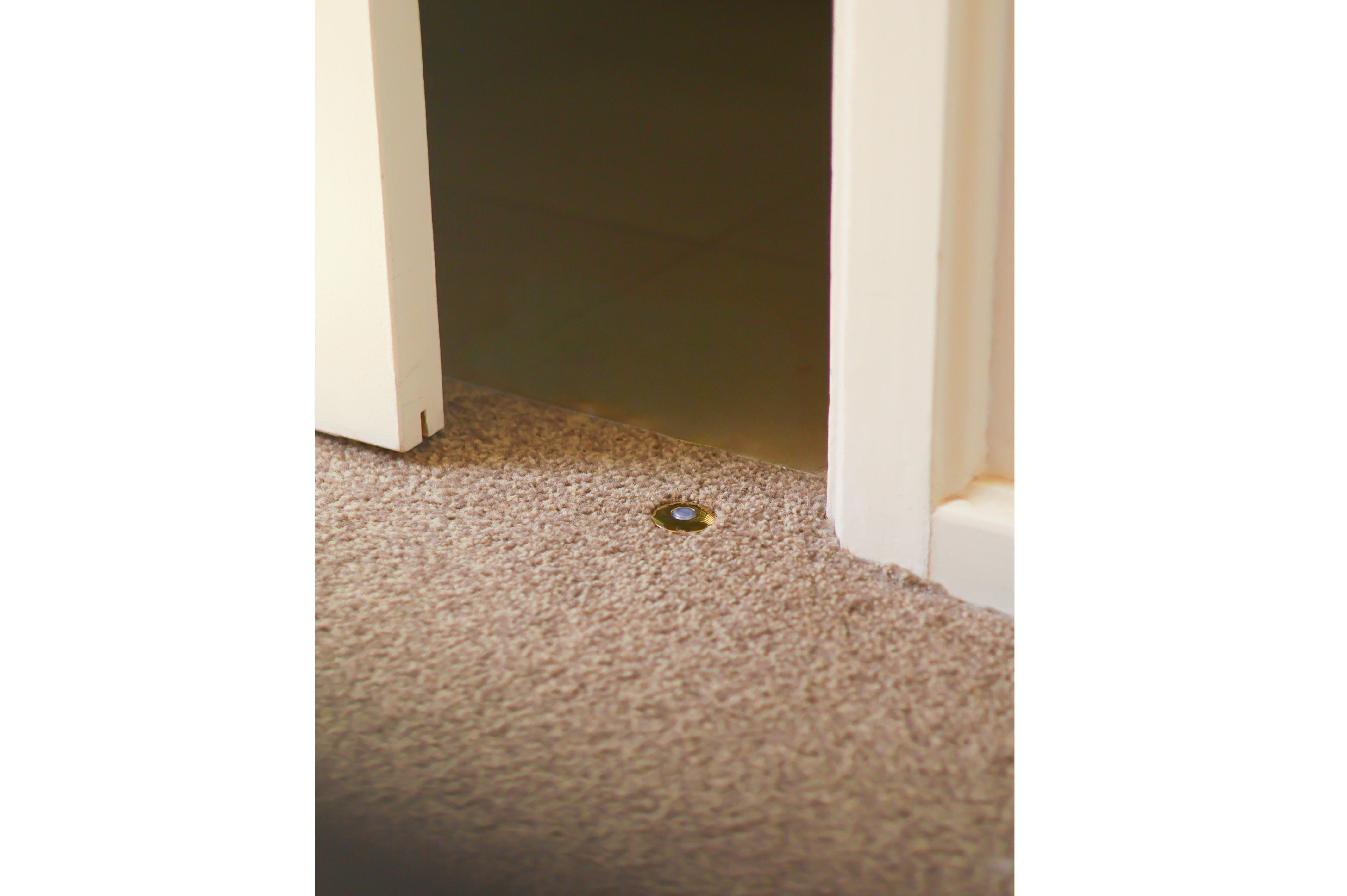 Carpet Punch