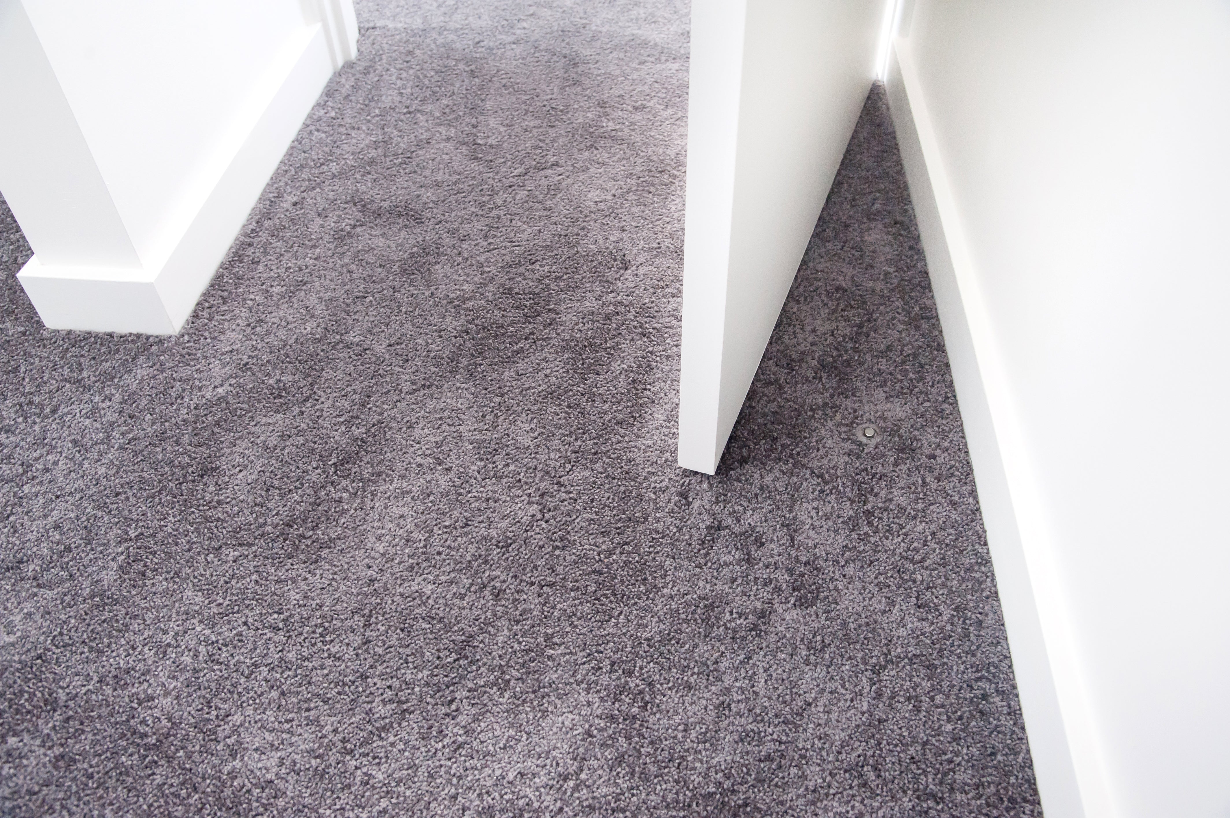 Fantom Doorstop
