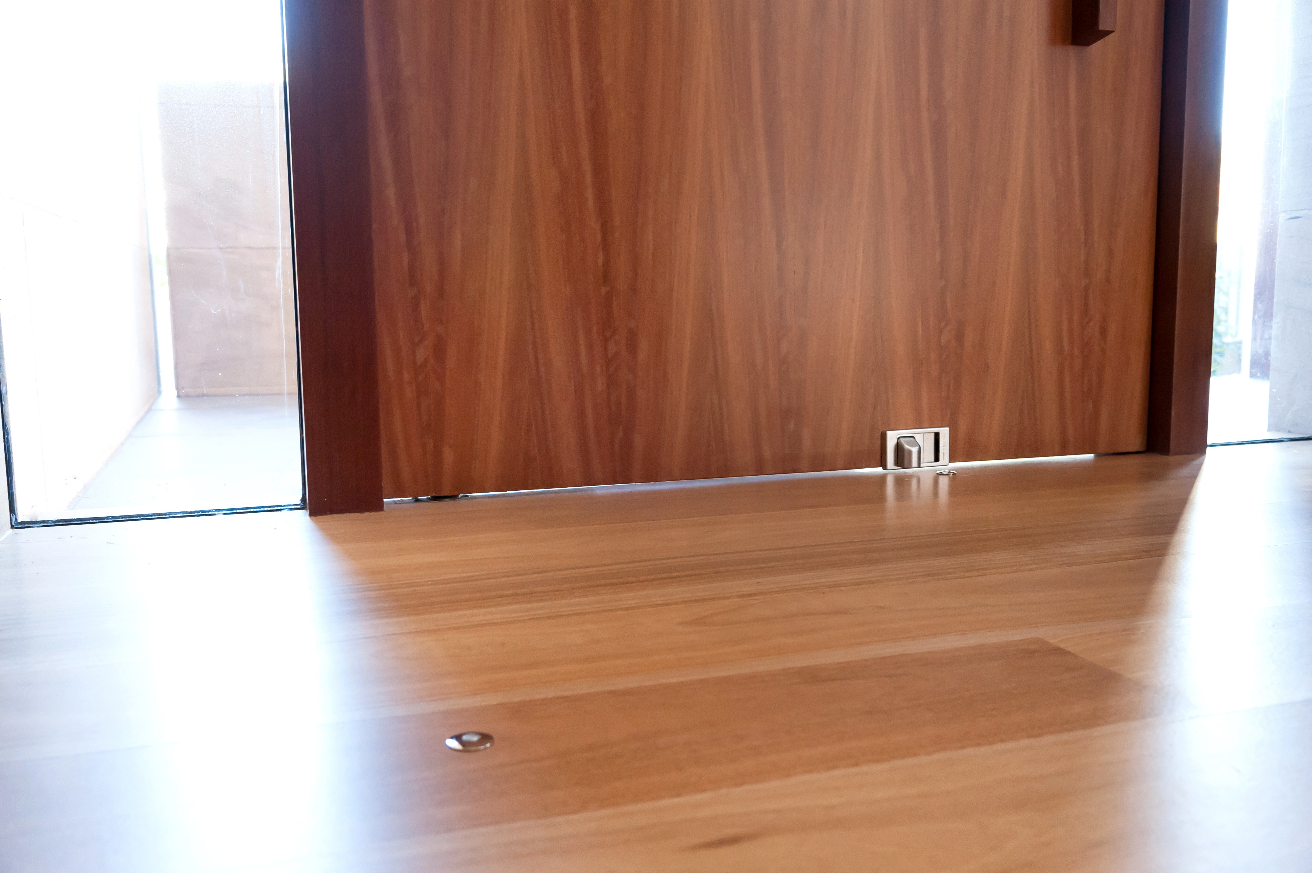 Fantom Defender - Security + Doorstop